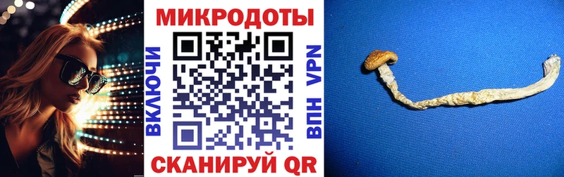 Галлюциногенные грибы Psilocybine cubensis  Бутурлиновка 