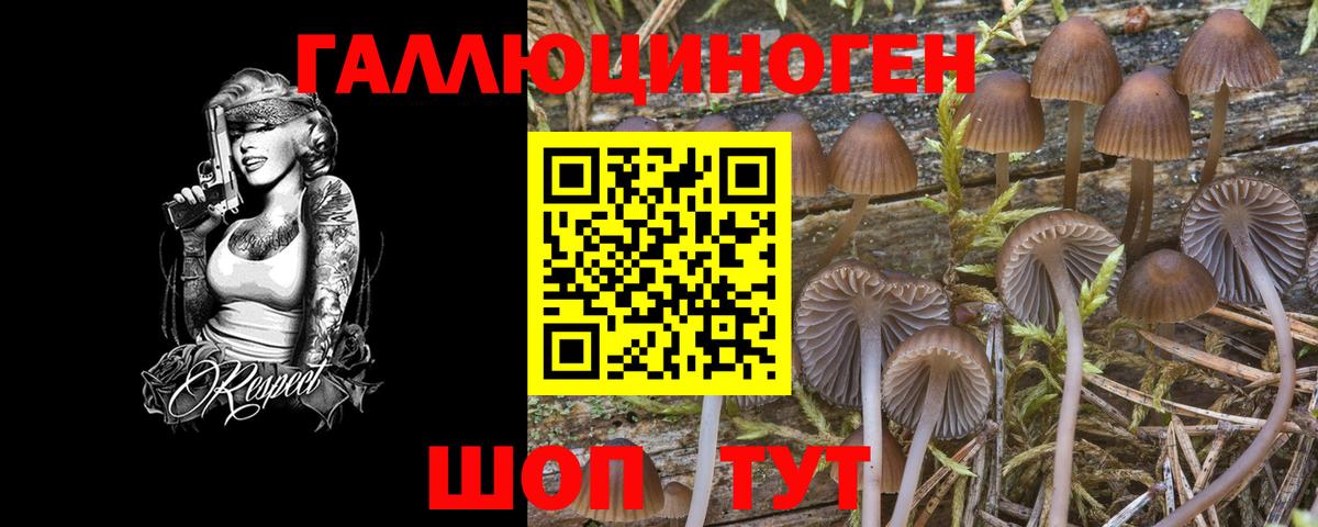 Бутурлиновка  Галлюциногенные грибы Magic Shrooms  Псилоцибиновые грибы Cubensis  Вход с VPN 