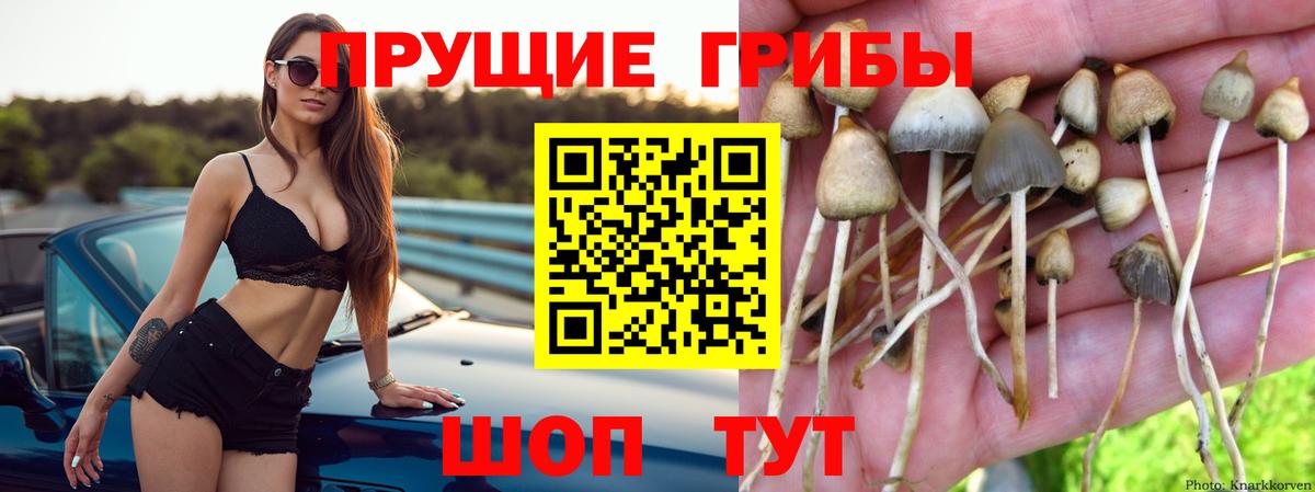 Псилоцибиновые грибы ЛСД Бутурлиновка
